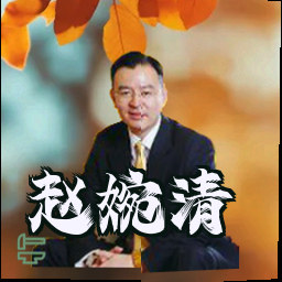 赵婉清